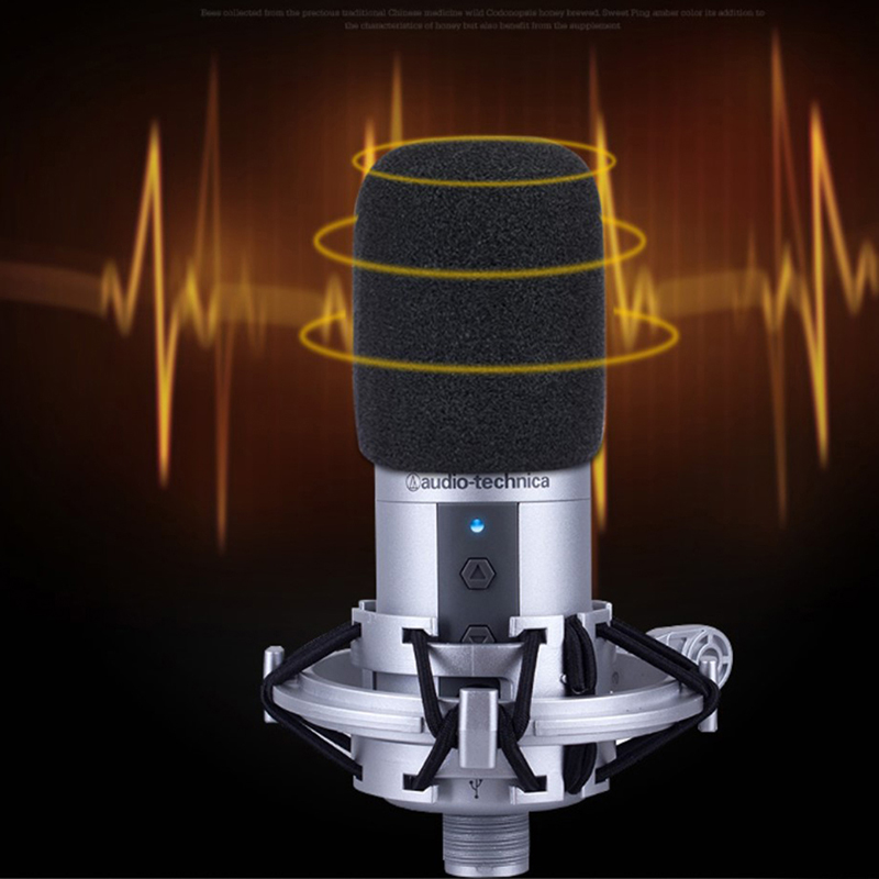 AT2020 Mikrofon Penutup Kaca D - Recording Pop Filter ulasan dan harga