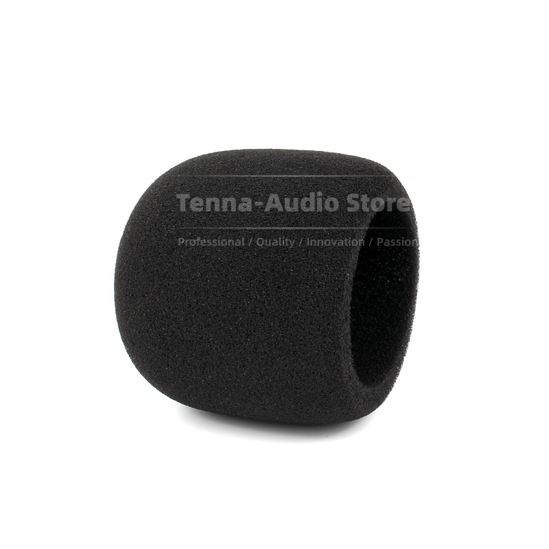 Pengganti untuk SONY PCM D10 P - Recording Pop Filter ulasan dan harga